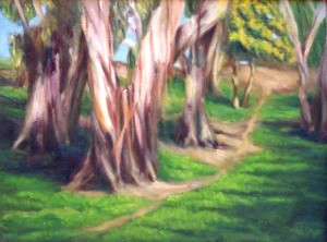 Eucalyptus Grove